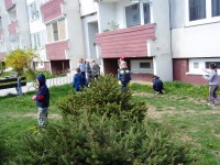 /album/zvedavcekovia-v-akcii/p1010810-jpg/