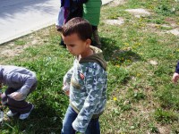 /album/zvedavcekovia-v-akcii/p1010814-jpg/